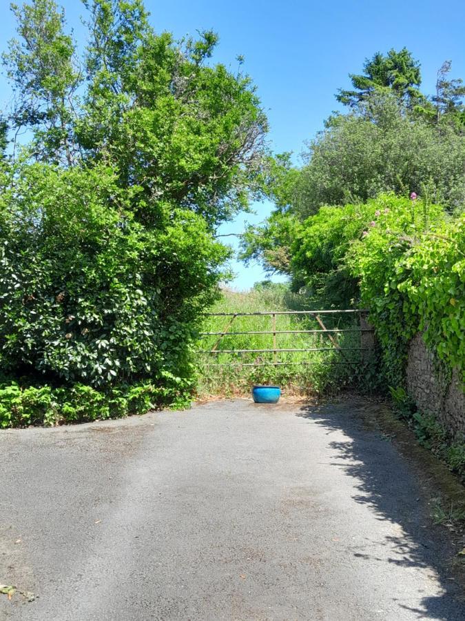 The Artist'S Retreat Apartment Calstock Exterior photo